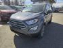 2019 GRAY FORD ECOSPORT TITANIUM (MAJ6S3KL1KC) with an 2.0L engine, Automatic transmission, located at 929 East 8th Ave, Anchorage, AK, 99501, (907) 274-2277, 61.214783, -149.866074 - Photo#0