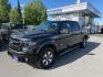 2014 BLACK FORD F150 SUPERCREW (1FTFW1ETXEK) with an 3.5L engine, Automatic transmission, located at 929 East 8th Ave, Anchorage, AK, 99501, (907) 274-2277, 61.214783, -149.866074 - Photo#0