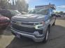 2023 GRAY CHEVROLET SILVERADO 1500 LT (1GCUDDED9PZ) with an 5.3L engine, Automatic transmission, located at 929 East 8th Ave, Anchorage, AK, 99501, (907) 274-2277, 61.214783, -149.866074 - Photo#1