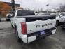 2024 WHITE TOYOTA TUNDRA CREWMAX PLATINUM (5TFNC5DB4RX) with an 3.4L engine, Automatic transmission, located at 929 East 8th Ave, Anchorage, AK, 99501, (907) 274-2277, 61.214783, -149.866074 - Photo#2