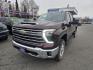 2024 BROWN CHEVROLET SILVERADO 3500 LTZ (1GC4YUE73RF) with an 6.6L engine, Automatic transmission, located at 929 East 8th Ave, Anchorage, AK, 99501, (907) 274-2277, 61.214783, -149.866074 - Photo#0