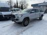 2019 SILVER TOYOTA TACOMA TRD OFF ROAD (3TMCZ5AN0KM) with an 3.5L engine, Automatic transmission, located at 929 East 8th Ave, Anchorage, AK, 99501, (907) 274-2277, 61.214783, -149.866074 - Photo#2