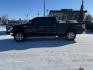 2013 BLACK FORD F150 SUPERCREW (1FTFW1ET9DK) with an 3.5L engine, Automatic transmission, located at 929 East 8th Ave, Anchorage, AK, 99501, (907) 274-2277, 61.214783, -149.866074 - Photo#1