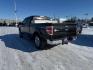 2013 BLACK FORD F150 SUPERCREW (1FTFW1ET9DK) with an 3.5L engine, Automatic transmission, located at 929 East 8th Ave, Anchorage, AK, 99501, (907) 274-2277, 61.214783, -149.866074 - Photo#2