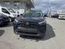 2023 BLACK TOYOTA RAV4 XLE XLE (2T3W1RFVXPW) with an 2.5L engine, Automatic transmission, located at 929 East 8th Ave, Anchorage, AK, 99501, (907) 274-2277, 61.214783, -149.866074 - Photo#0