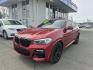 2019 RED BMW X4 XDRIVE30I (5UXUJ3C5XKL) with an 2.0L engine, Automatic transmission, located at 929 East 8th Ave, Anchorage, AK, 99501, (907) 274-2277, 61.214783, -149.866074 - Photo#0