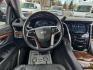 2020 CADILLAC ESCALADE PREMIUM LUXURY (1GYS4CKJ5LR) with an 6.2L engine, Automatic transmission, located at 929 East 8th Ave, Anchorage, AK, 99501, (907) 274-2277, 61.214783, -149.866074 - Photo#4