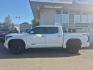 2022 WHITE TOYOTA TUNDRA CREWMAX PLATINUM (5TFMC5DB5NX) with an 3.4L engine, Automatic transmission, located at 929 East 8th Ave, Anchorage, AK, 99501, (907) 274-2277, 61.214783, -149.866074 - Photo#1